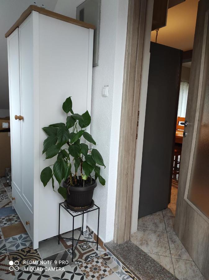 Apartman Lucia ビリセ エクステリア 写真